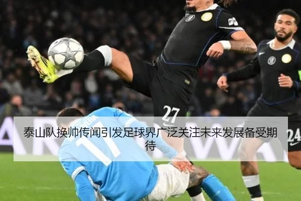 泰山队换帅传闻引发足球界广泛关注未来发展备受期待